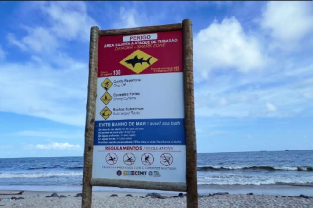 morte-de-adolescente-marca-82o-ataque-de-tubarao-em-pernambuco