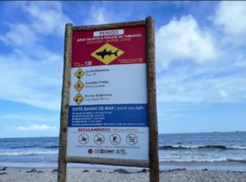 morte-de-adolescente-marca-82o-ataque-de-tubarao-em-pernambuco