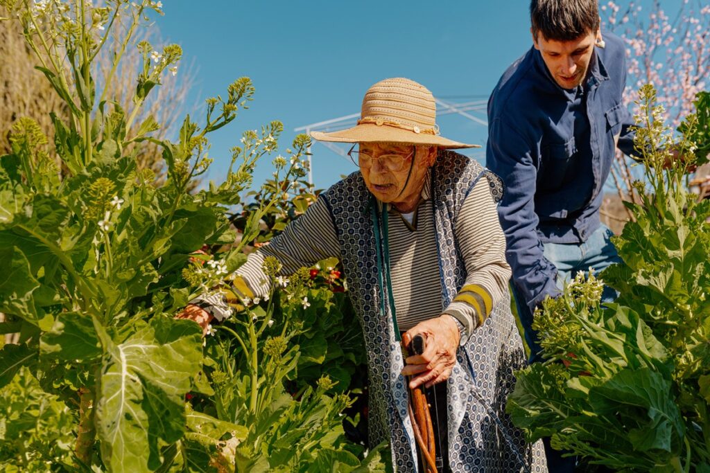 o-melhor-alimento-para-longevidade-esta-na-cozinha-de-casa!-veja-qual