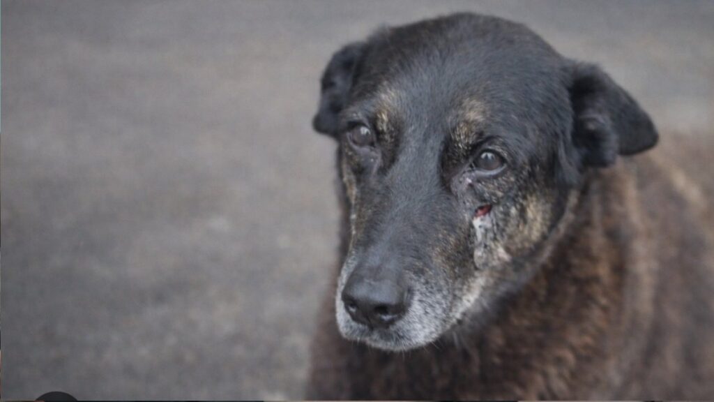 porteiro-citado-no-caso-orelha-contesta-versao-divulgada-nas-redes