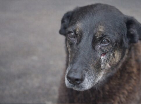 porteiro-citado-no-caso-orelha-contesta-versao-divulgada-nas-redes