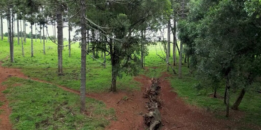 producao-inedita-resgata-historico-caminho-do-peabiru-na-tv-brasil