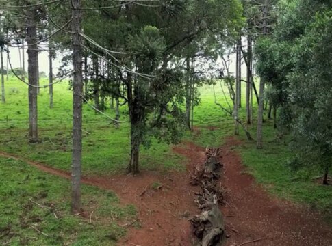 producao-inedita-resgata-historico-caminho-do-peabiru-na-tv-brasil