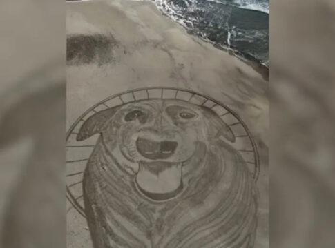 cao-orelha-e-homenageado-com-desenho-de-40-metros-em-praia