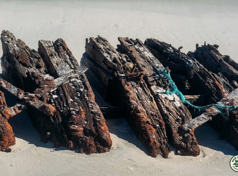 navio-do-seculo-19-naufragado-ao-transportar-frutas-e-achado-nos-eua