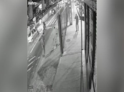 cachorro-e-morto-a-tiros-apos-homem-se-irritar-com-latidos-em-briga