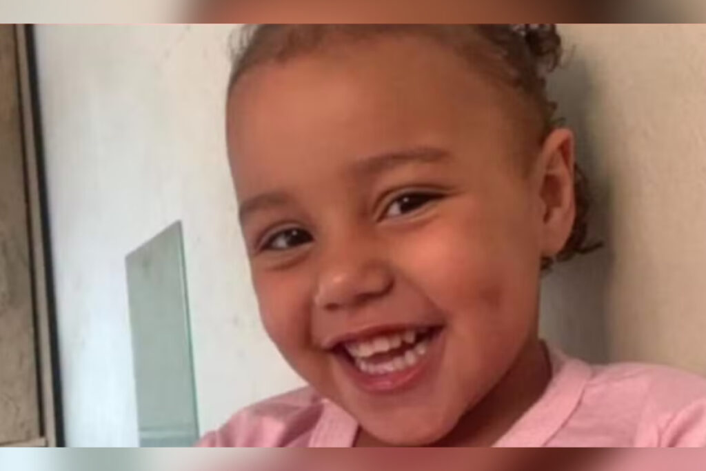 menina-autista-de-3-anos-desaparece-em-mg-e-forca-tarefa-e-formada