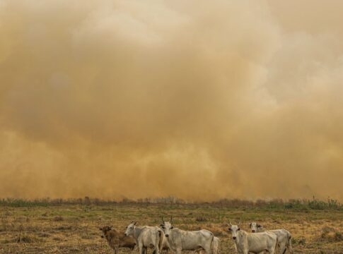 janeiro-tem-numero-de-focos-de-calor-duas-vezes-maior-que-a-media