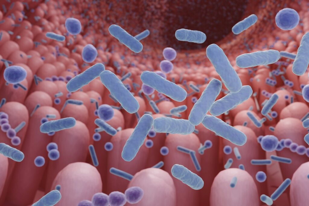coloproctologista-lista-os-5-melhores-probioticos-para-o-intestino