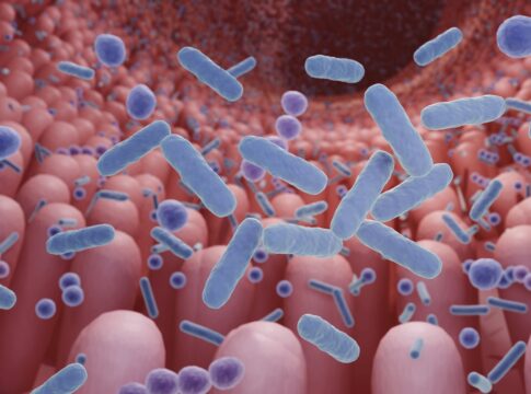 coloproctologista-lista-os-5-melhores-probioticos-para-o-intestino