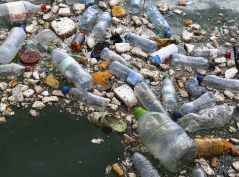 danos-a-saude-provocados-pelo-plastico-podem-dobrar-ate-2040