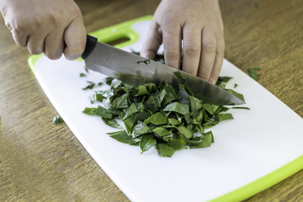 planta-do-cerrado-rica-em-ferro-pode-ser-tao-nutritiva-quanto-o-feijao