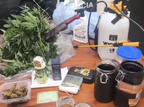 maconha-profissional:-policia-prende-homem-que-plantava-droga-em-cdhu