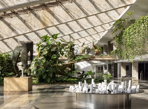 sergio-camargo:-tudo-o-que-voce-deve-saber-sobre-mostra-gratuita-no-df