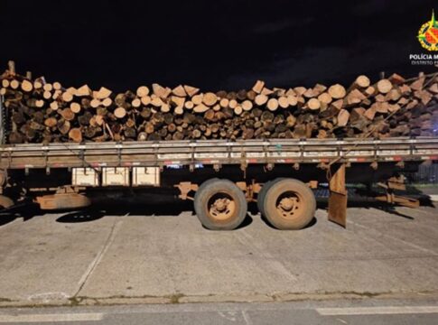 crime-ambiental:-pm-flagra-transporte-ilegal-de-madeira-em-area-do-df