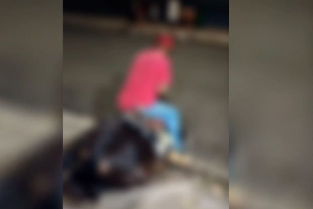 cavalo-cai-de-cansaco-e-policia-investiga-suposto-caso-de-maus-tratos.-veja-video