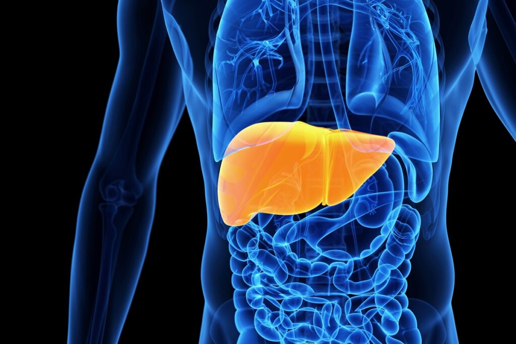 nao-e-so-beber-demais:-hepatologista-revela-o-que-causa-a-cirrose