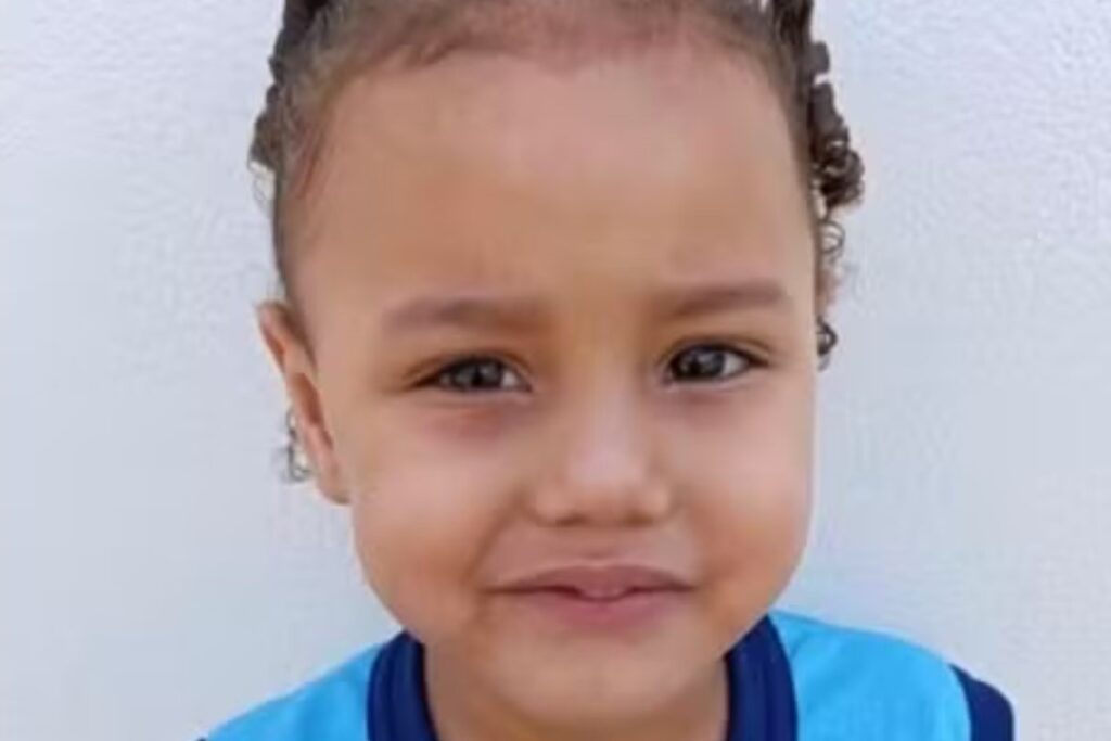 bombeiros-de-mg-revelam-como-foi-resgate-de-menina-de-4-anos.-veja-video