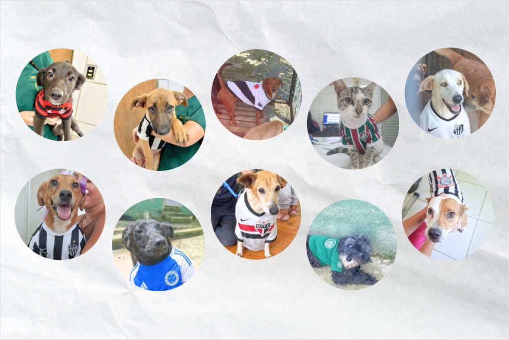 paqueta-e-gabigol:-pets-ganham-nomes-de-craques-em-campanha-de-adocao