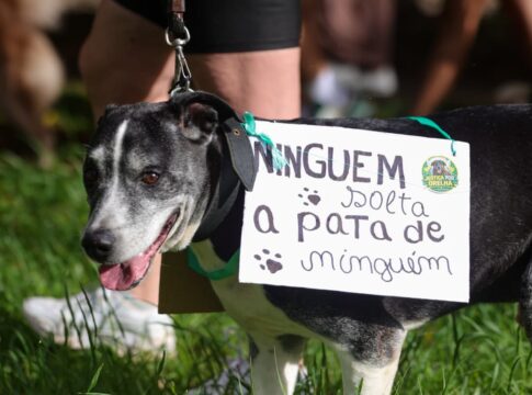 cao-orelha:-manifestantes-se-reunem-no-df-e-pedem-justica-pelo-animal