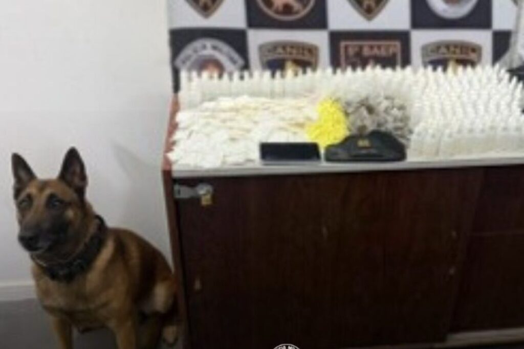 blitz-flagra-peugeot-com-remedios-ilegais,-anabolizantes-e-iphones