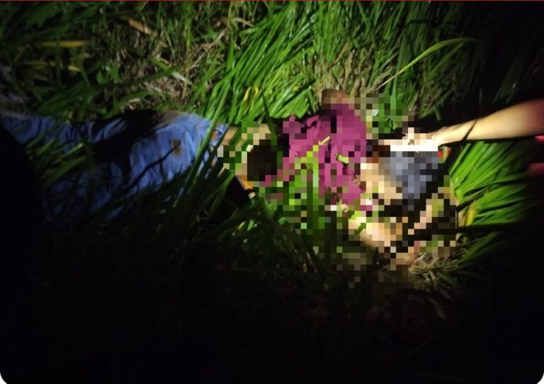 Jovem morre após colidir com boi na BR-364, na região do Croa