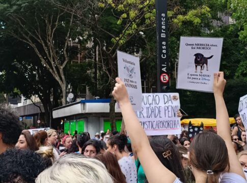 centenas-de-pessoas-em-sao-paulo-pedem-justica-pelo-cao-orelha