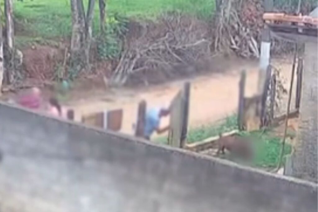 policia-investiga-se-bebe-atacado-por-pitbull-ja-estava-morto-por-maus-tratos