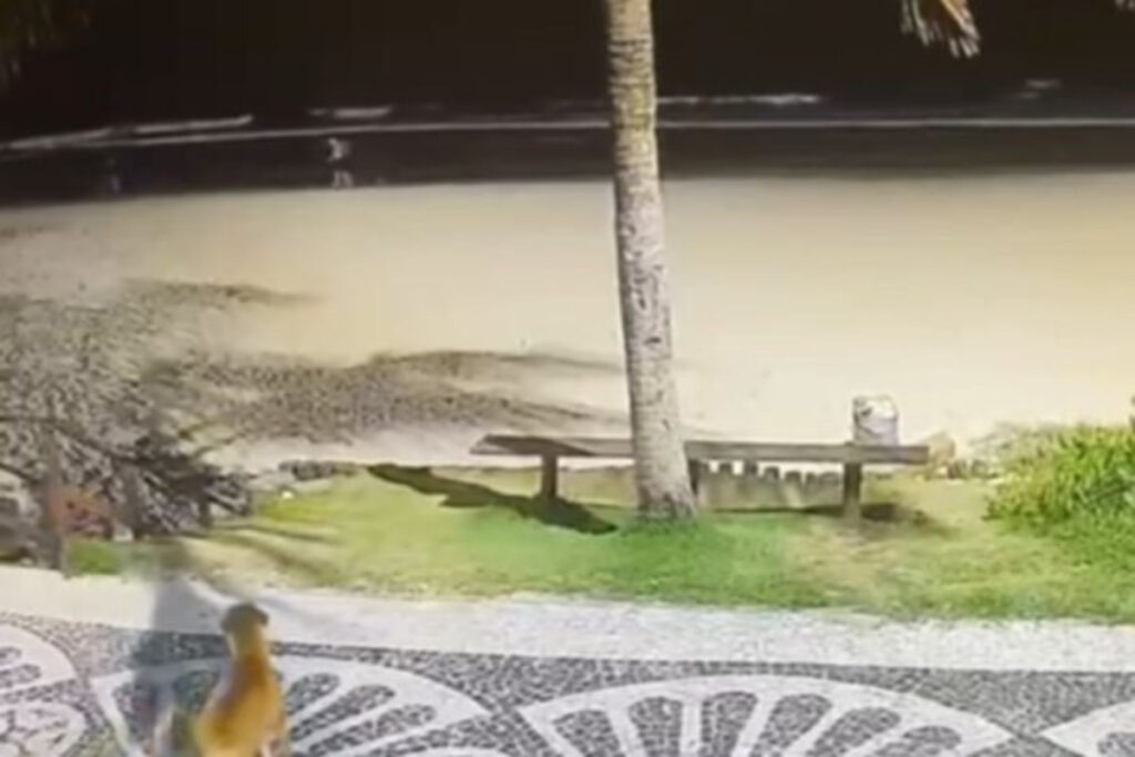 gravacao-ajuda-a-identificar-adolescentes-que-tentaram-afogar-caramelo.-veja-video