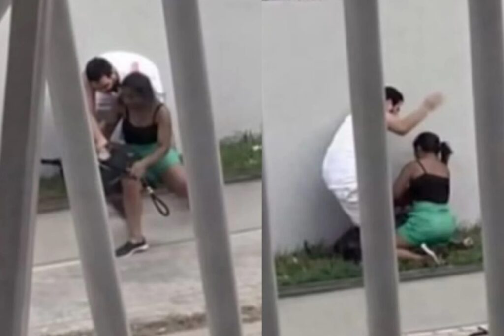 briga-entre-tutores-de-caes-termina-em-agressao-fisica-na-bahia