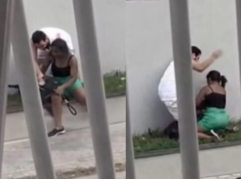 briga-entre-tutores-de-caes-termina-em-agressao-fisica-na-bahia