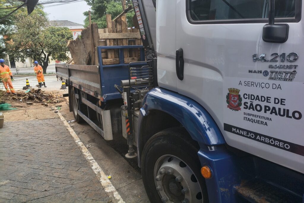 prefeitura-de-sp-atrasou-poda-de-arvore-e-limpeza-de-corregos-em-2025