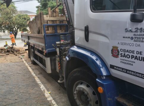 prefeitura-de-sp-atrasou-poda-de-arvore-e-limpeza-de-corregos-em-2025
