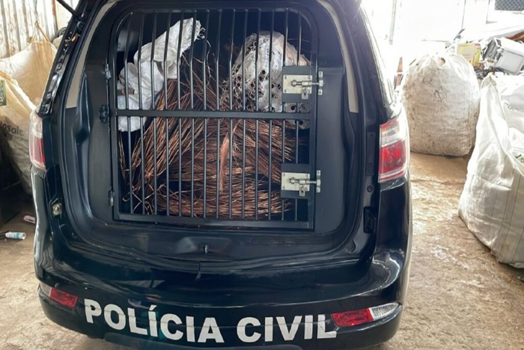 pcdf-lanca-canal-exclusivo-para-denuncias-de-roubo-de-cabos-de-energia