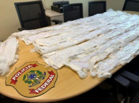 pf-prende-dupla-que-tentava-enviar-cocaina-liquida-ao-exterior