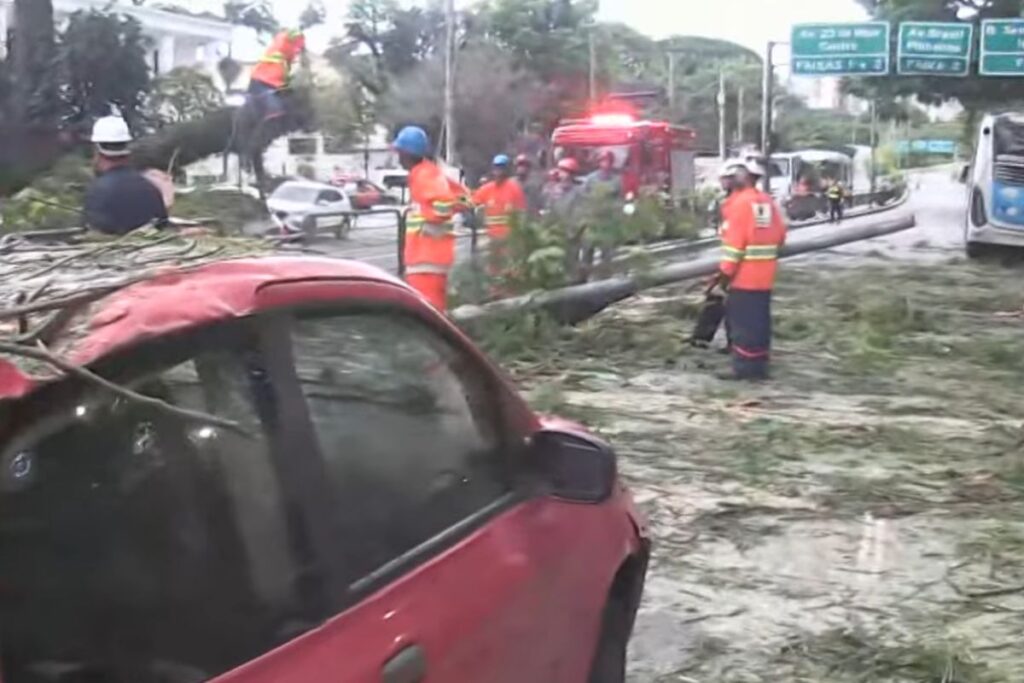 arvore-cai-sobre-veiculos-e-deixa-ao-menos-dois-feridos-em-sp
