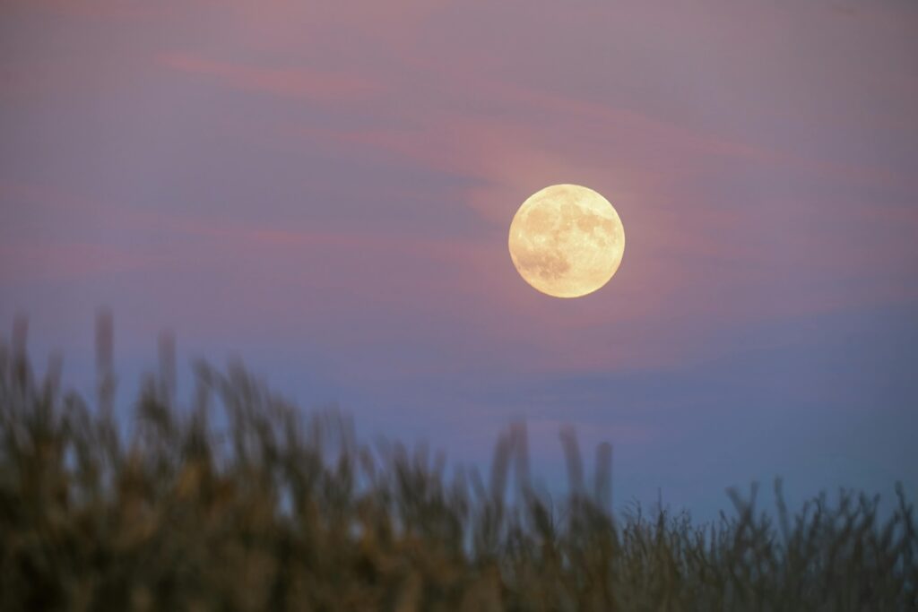 confira-a-fase-da-lua-nesta-terca-(3/2)-e-como-afeta-seu-signo