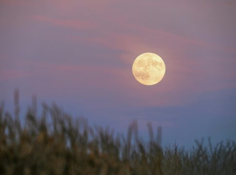 confira-a-fase-da-lua-nesta-terca-(3/2)-e-como-afeta-seu-signo