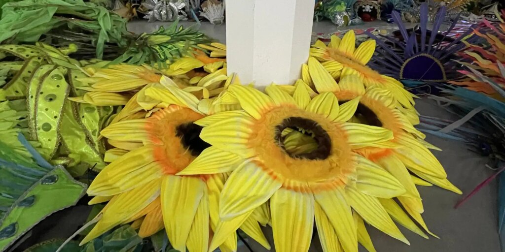 projeto-reaproveita-fantasias-da-sapucai-para-novos-folioes