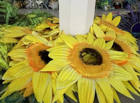 projeto-reaproveita-fantasias-da-sapucai-para-novos-folioes