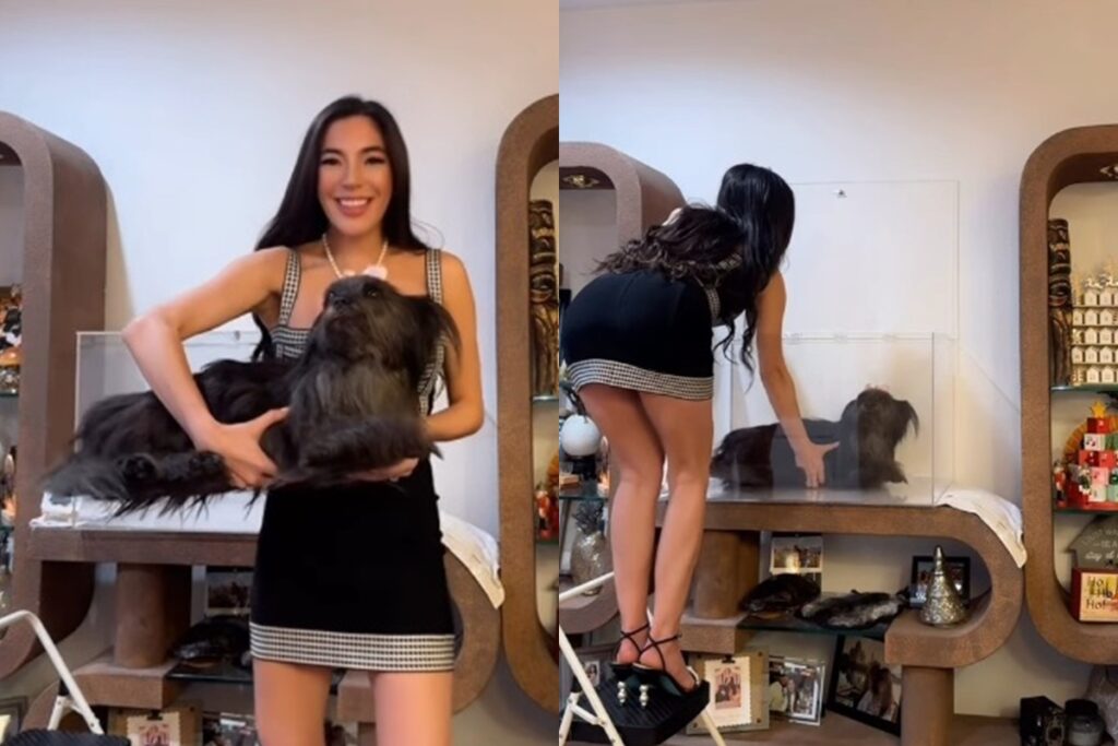 influencer-causa-polemica-apos-expor-corpo-da-cadela-morta-em-caixa