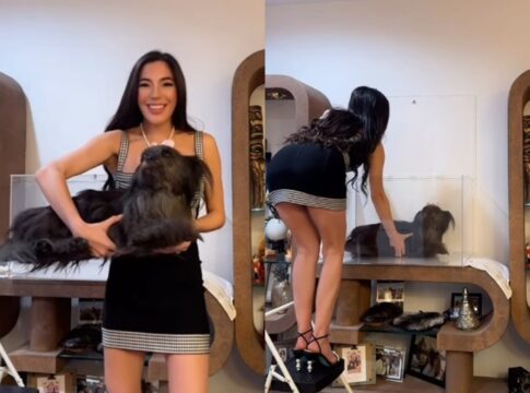 influencer-causa-polemica-apos-expor-corpo-da-cadela-morta-em-caixa