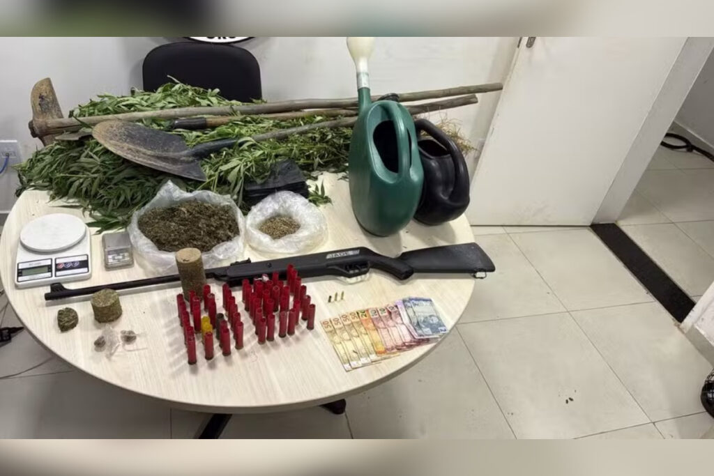pm-acha-estufa-de-maconha-e-homem-alega-uso-pessoal:-“dores-no-corpo”.-veja-video