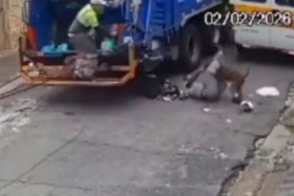 ataque-de-pit-bull-fere-coletores-de-lixo-e-arranca-dedo-de-um-deles.-video