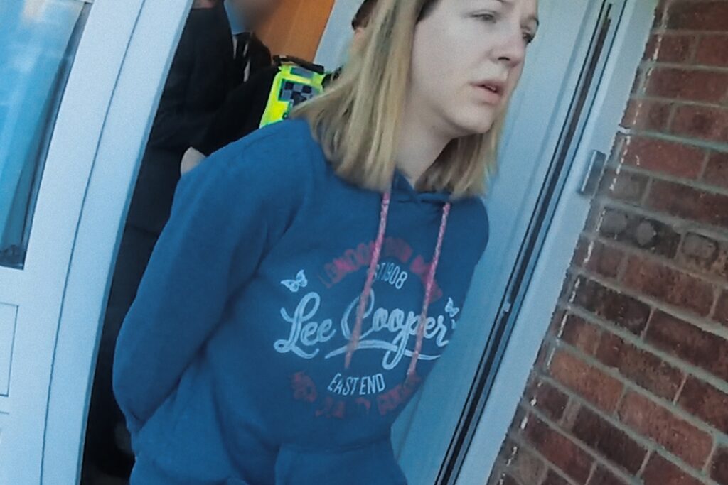 novo-true-crime-da-netflix-retrata-caso-de-enfermeira-que-matou-7-bebes