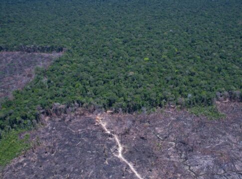 amazonia-legal:-desmatamento-prevalece-em-torno-de-areas-protegidas