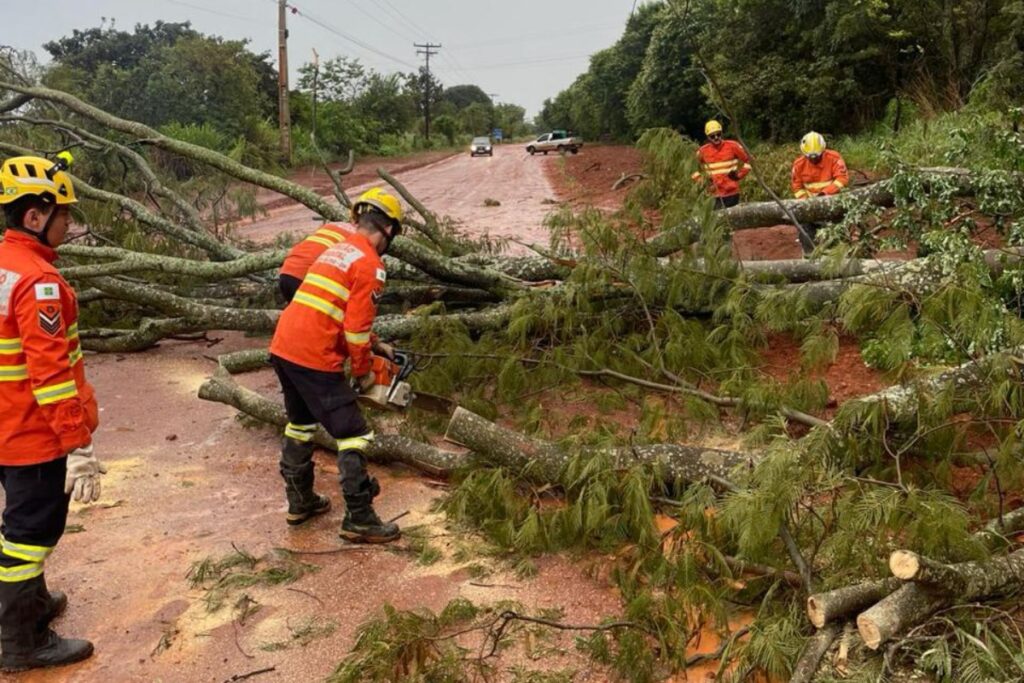 temporal-derruba-arvores-em-varias-regioes-do-df