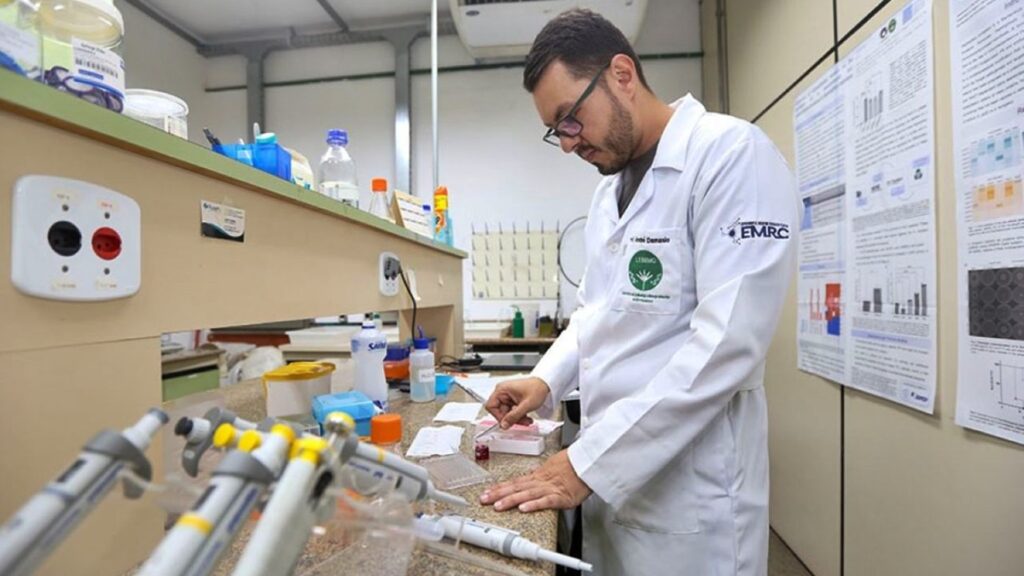 carne-feita-de-fungos-pode-ser-o-futuro-da-gastronomia.-voce-comeria?