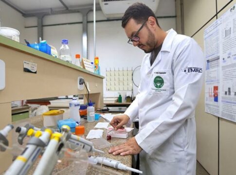 carne-feita-de-fungos-pode-ser-o-futuro-da-gastronomia.-voce-comeria?