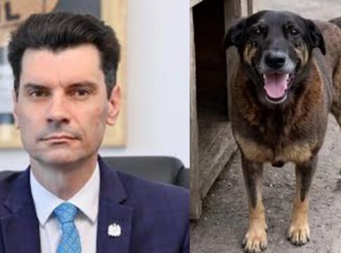 cao-orelha:-alvo-de-ataques,-chefe-da-policia-de-sc-desabafa-nas-redes